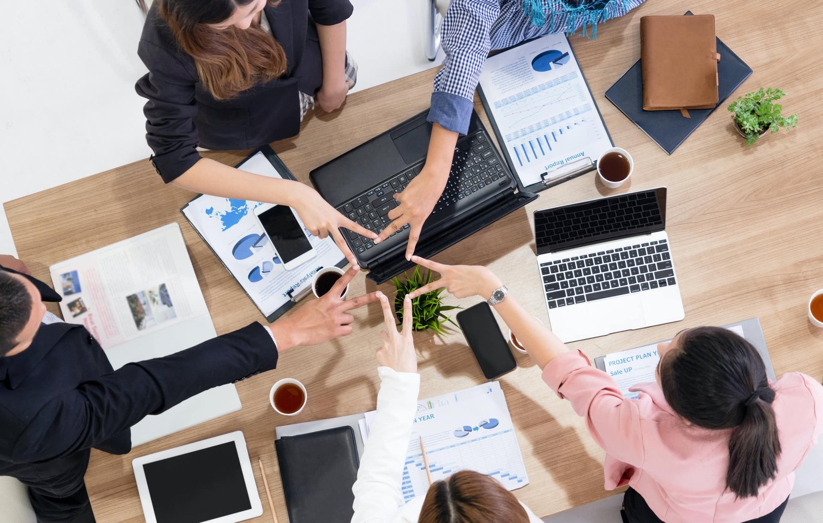 Alnaya csp llcs reviews
